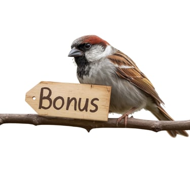 Sparrow sitting on a branch, holding a sign that says bonus, pro bonus tip inside the DIY Guide