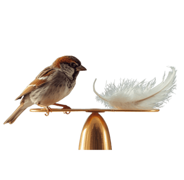 A sparrow on a scale, deciding next SEO Steps