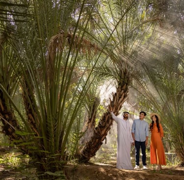 Al ain Oasis - Go Dubai Chauffeurs & Tours