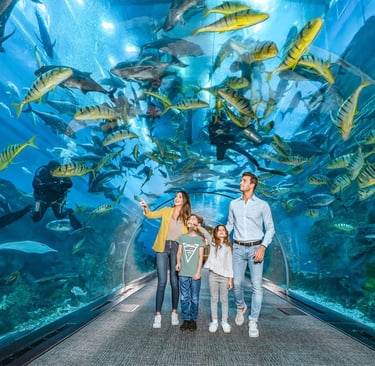 Tickets for Dubai Aquarium - Go Dubai Chauffeurs & Tours