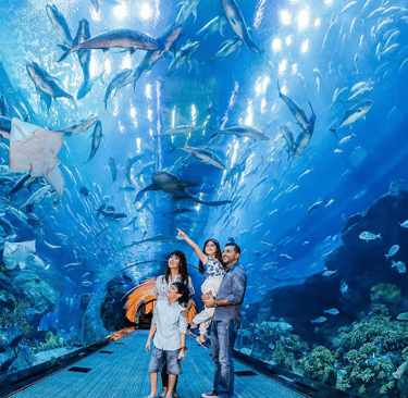 Book tickets of Dubai Aquarium - Go Dubai Chauffeurs & Tours