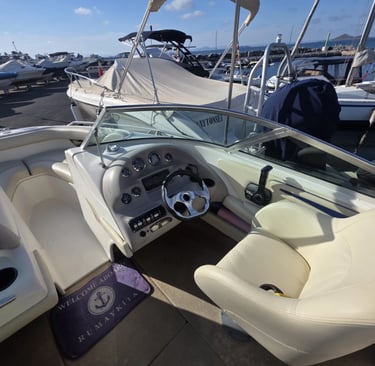 Sea Ray 190 BR