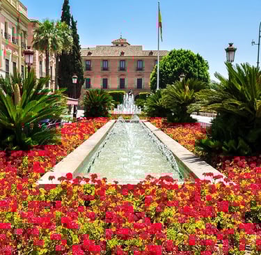 plaza de las flores 