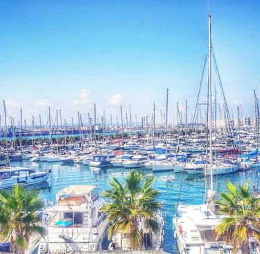 Marina Salinas Torrevieja