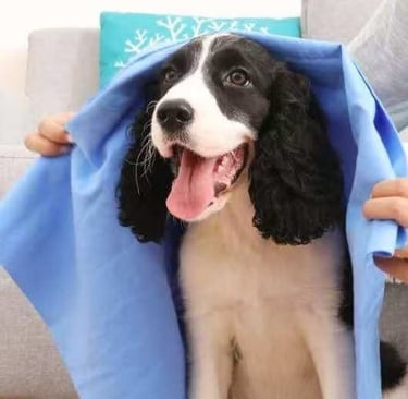 pets towel,doggy towel,cat towel gym towel sports towel