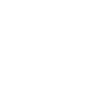 Luxury Custom Homes