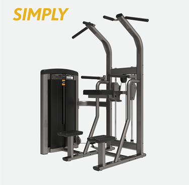Dip & Chin Machine