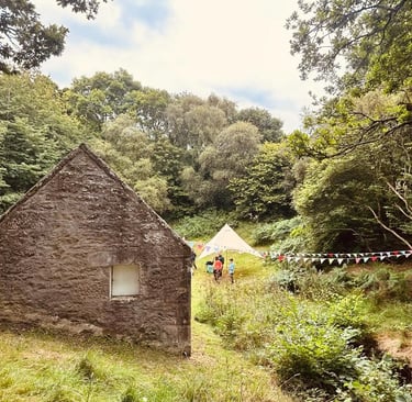 a woodland clearing ready for a wedding
