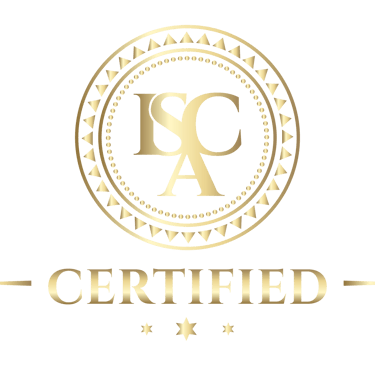 international solar cleaning academy safety