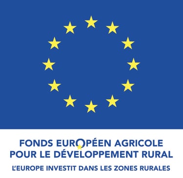 logo fond européens