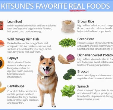 Shiba Inu Nutrition: A Complete Guide to Feeding Your Shiba Inu