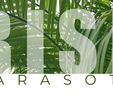 a palm tree with the words rise above it