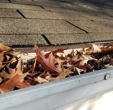 Expert gutter cleaning tips for efficient home maintenance