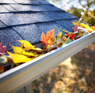 Gutter Full of Leaves