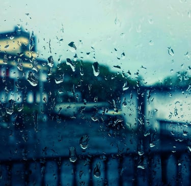 Rain on Window