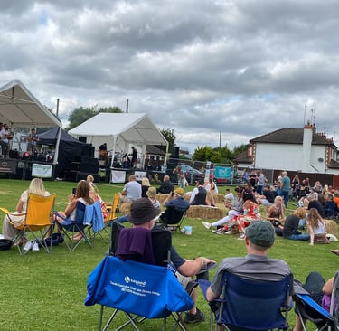 festival goers enjoying the music at Woolyfest