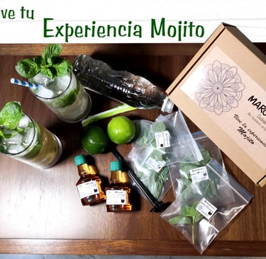 Experiencia Mojito - Limon, yerbabuena, soda, ron