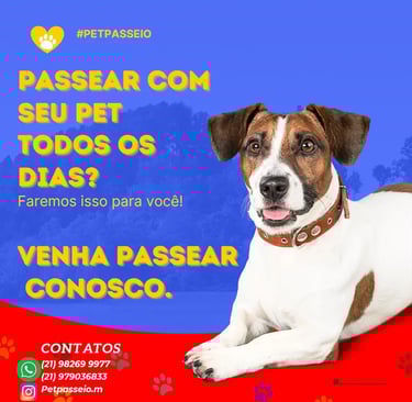 a dog sitting on a red carpet with a dog on the floor