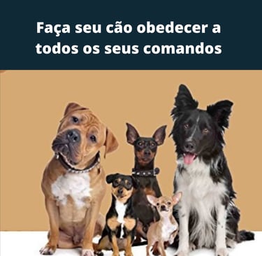 a dog sitting on a table with a dog and a dog