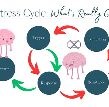 A depiction of the stress cycle