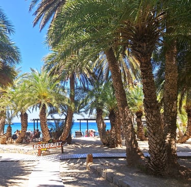 Vai beach, Crete