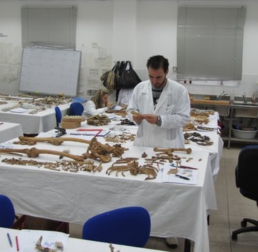 missing cypriots remains
