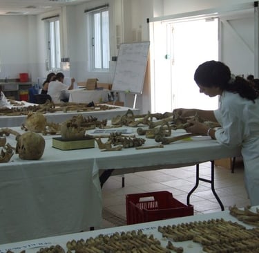 missing-cypriots-bones3