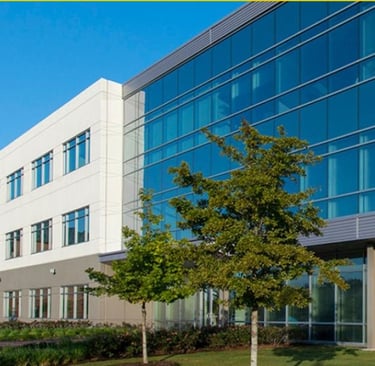 a building with a tree in the foreground and a tree in the background