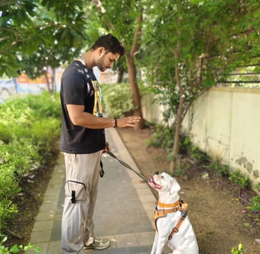 certified dog trainer in gurgaon at gurgaondogtraining.in