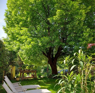 Jardin privatif pour se relaxer