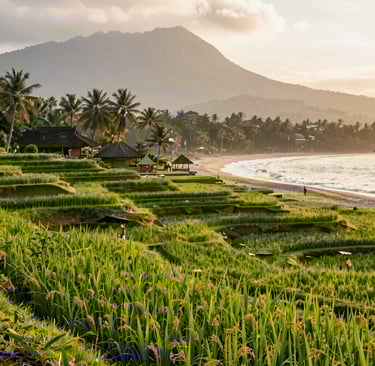 Bright living room with modern inventory