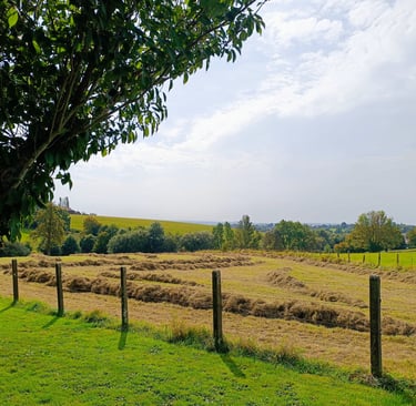 reiki Lesenfants Magali apaisement Soumagne séance