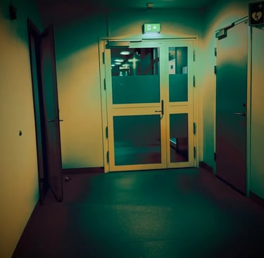 Helse omsorgsdepartemen,Diakonhjemmet sykehus, Ragnar Nesvåg, Marcus Gabr