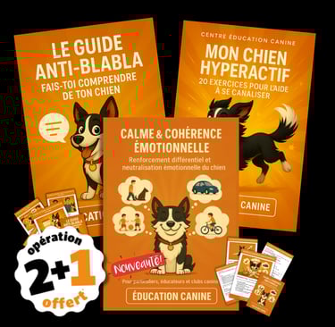 Livre, livret et eBook d’éducation canine – contenu pratique pour chiens et chiots. Centre Éducation Canine Lionel Renier.