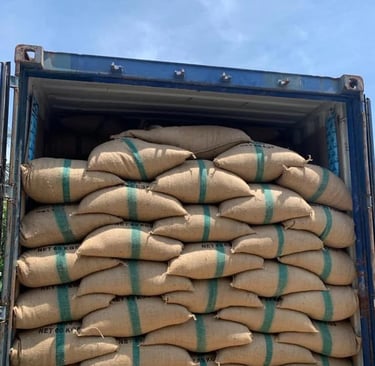 Proses muat Green Coffee Beans Toraja Arabica ke kontainer 20 feet