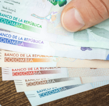 El gran problema fiscal de Colombia. La rigidez del gasto Nicolas rojas pardo economista