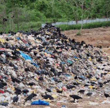 ChatGPT Plus crisis aseo Bogotá, emergencia residuos 2026, contratos recolección basura, licitación