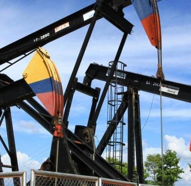 Nicolas Rojas Pardo Colombia Transición energética y diversificación de exportaciones