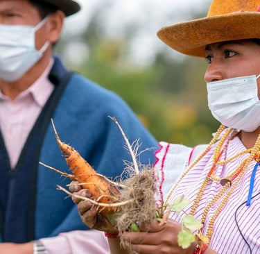 De la pandemia a la recesión, a la recuperación económica colombia análisis