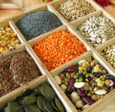 Prohibir las semillas transgénicas Colombia ingeniería genética