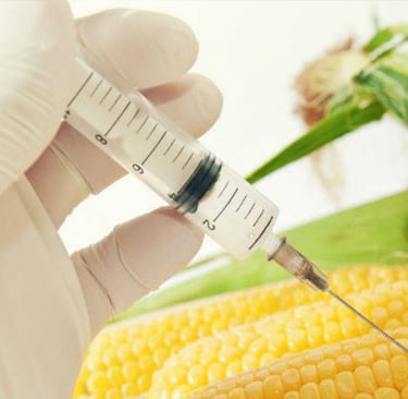 ¿Prohibir las semillas transgénicas? Agricultura economía Colombia desarrollo rural ley colombiana