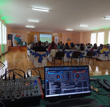 fiestas, eventos, celebración, sonido, iluminación, perimetrales, micrófono, mesa de sonido, dj, dvj