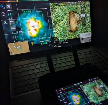 Paieška termoviziniu dronu