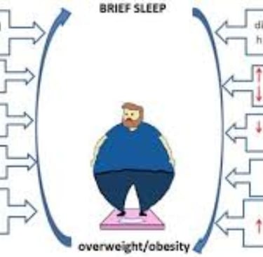 sleep quality
