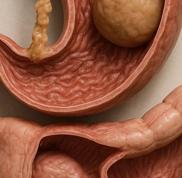  Vomiting and Obstructions in the Upper Gastrointestinal Tract 🔬  