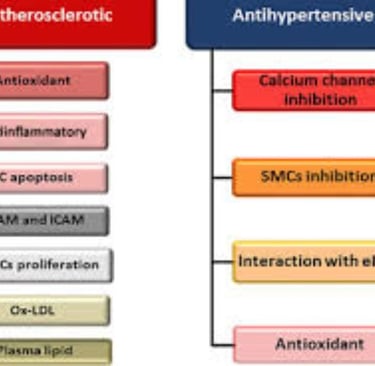 antihypertensive