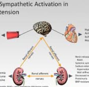 renal in hypertension