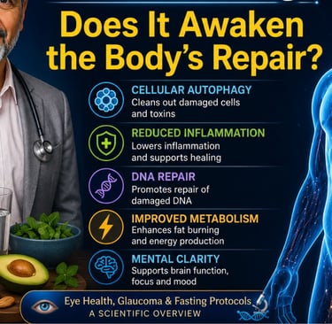 🌙Fasting&Self-Healing:Does It Awaken the Body's Repair?