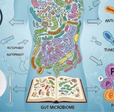 image photo/graphic 🧬 Microbiome, Fasting, and Probiotics: How They Influence Cancer