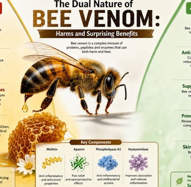  🐝The Dual Nature of Bee Venom:Harms and Surprising Benefits 